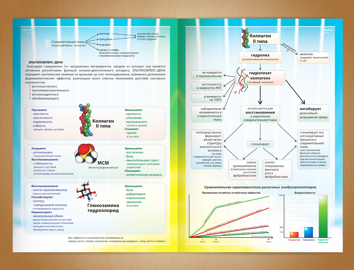 Dena Pharmaceuticals-Brochure Design for Representation of Dena Pharmaceuticals in Armenia