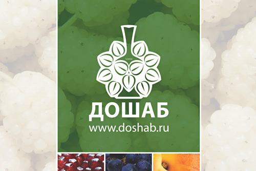 DOSHAB.ru Promo