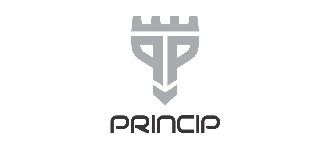 Princip-Products for dentistry and implantology